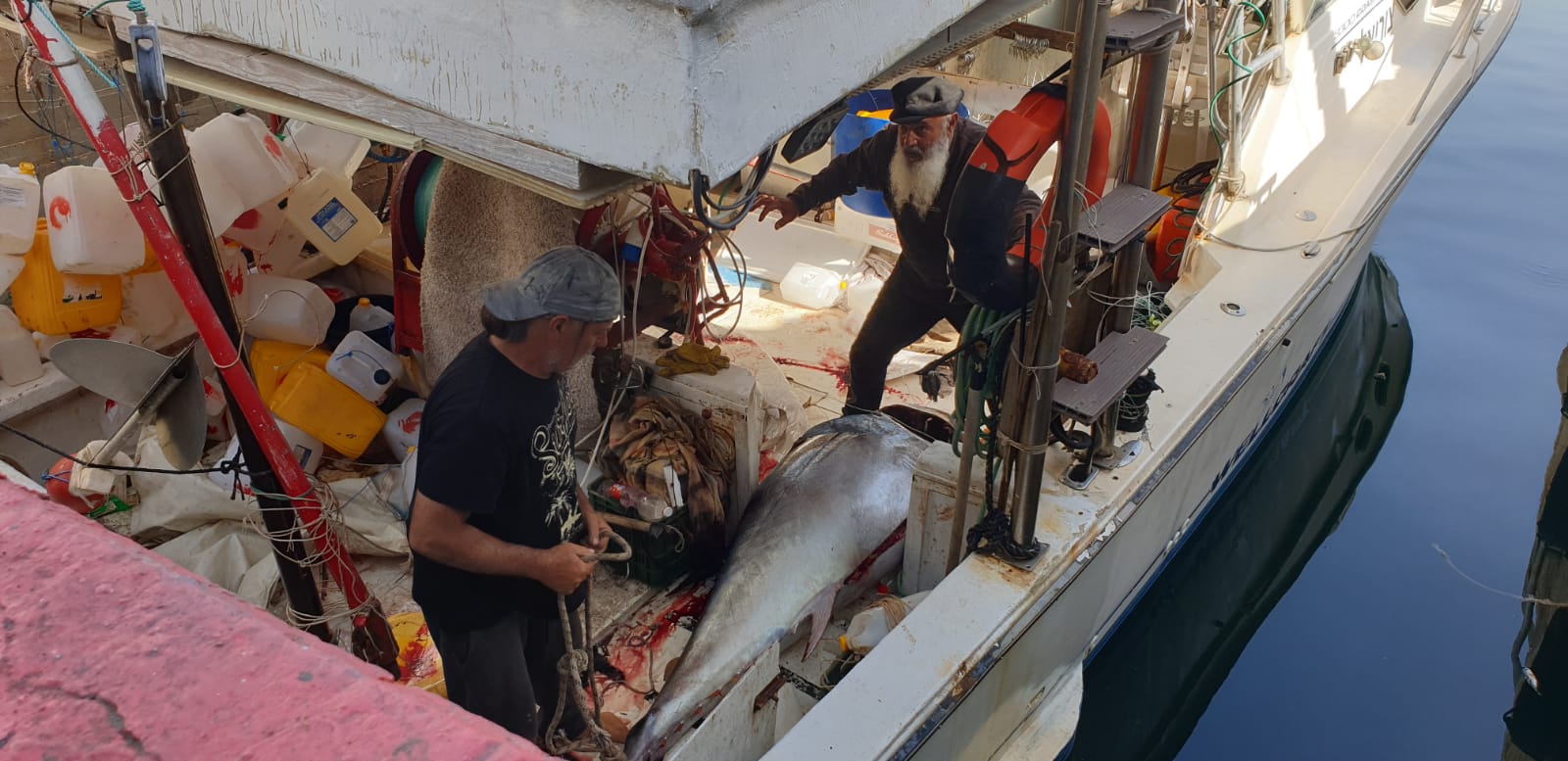 WhatsApp Image 2020-05-13 at 9.01.56 AM (1).jpeg.jpeg